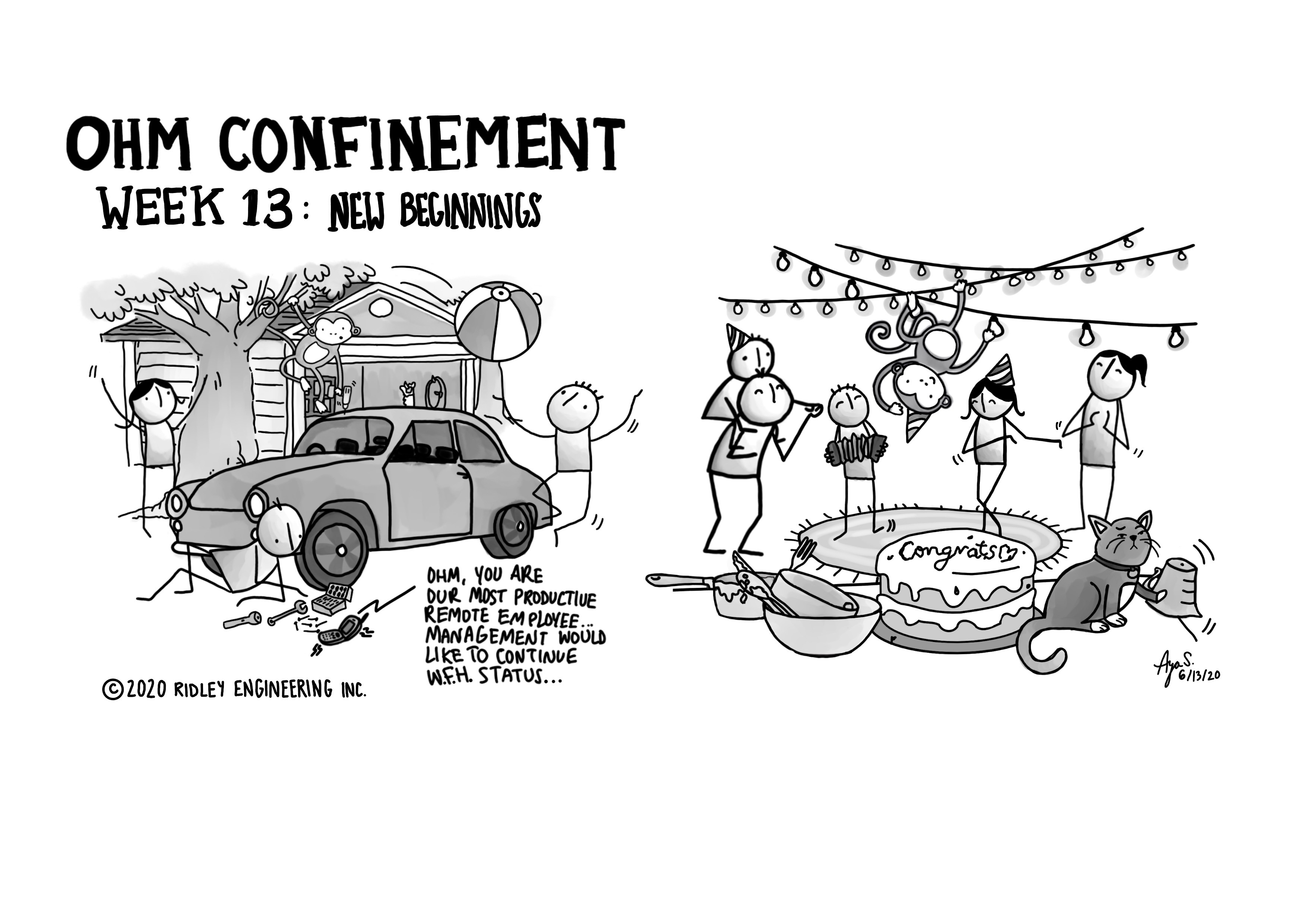 Ohm Confinement Week13